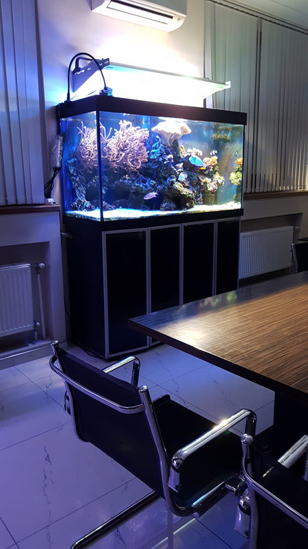 Морской аквариум 500л в офисе. Смешанный риф. 18000₽