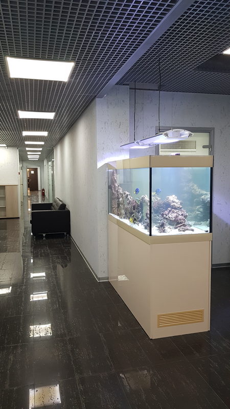 Морской аквариум 700л в офисе. Рыбник с ежами, звёздами, креветками. 15500₽