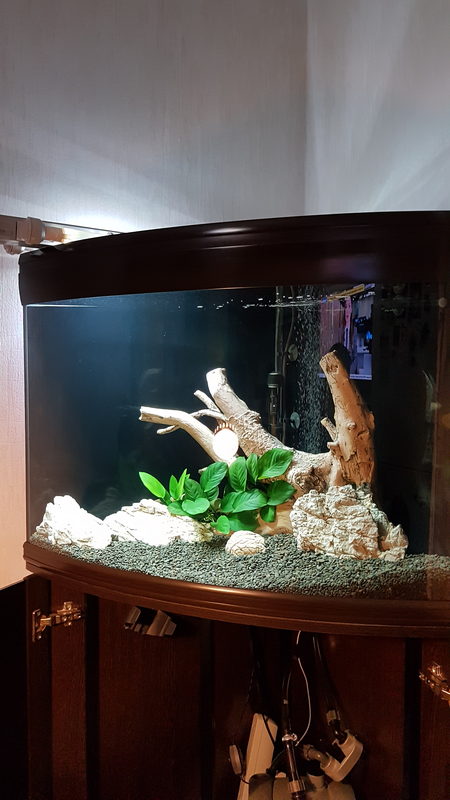 Пресный аквариум 150л. 5500₽