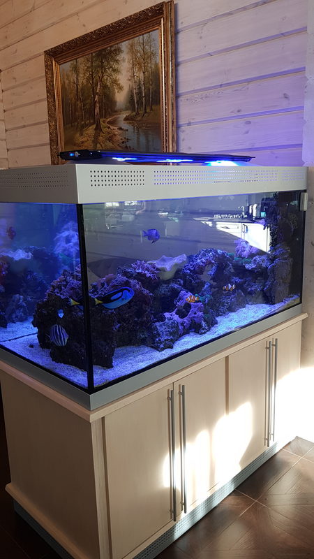 Смешанный риф 650л в загородном доме. 17000₽